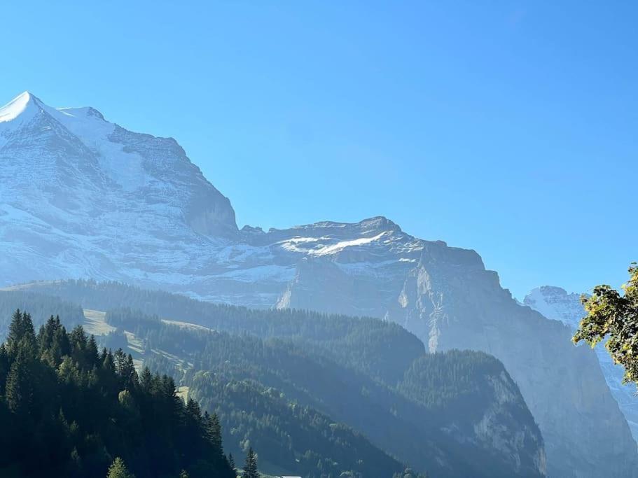 Wengen Apartment - Amazing Views, Centrally Located By Train Station Luaran gambar