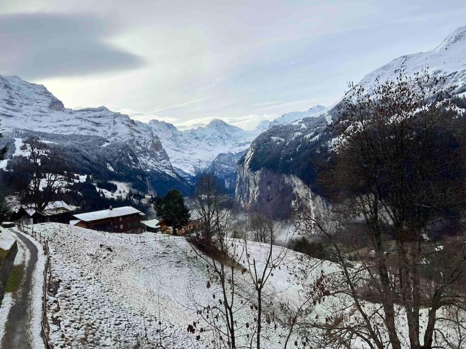 Wengen Apartment - Amazing Views, Centrally Located By Train Station Luaran gambar