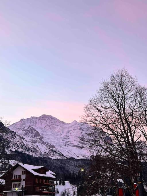 Wengen Apartment - Amazing Views, Centrally Located By Train Station Luaran gambar