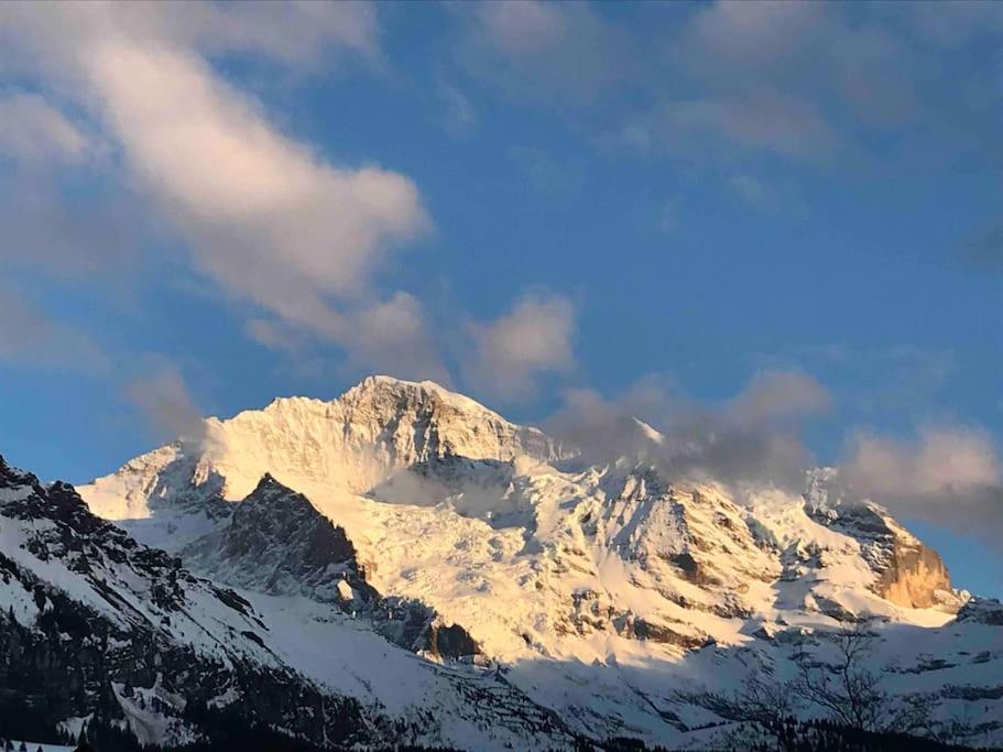 Wengen Apartment - Amazing Views, Centrally Located By Train Station Luaran gambar